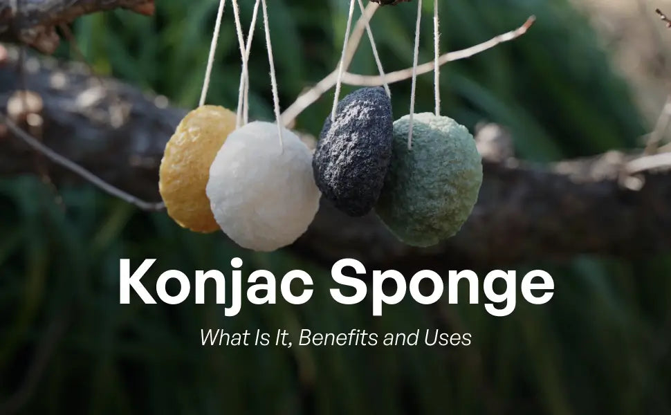 konjac sponge