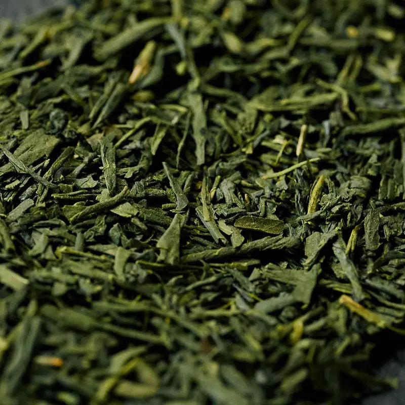 sencha tea