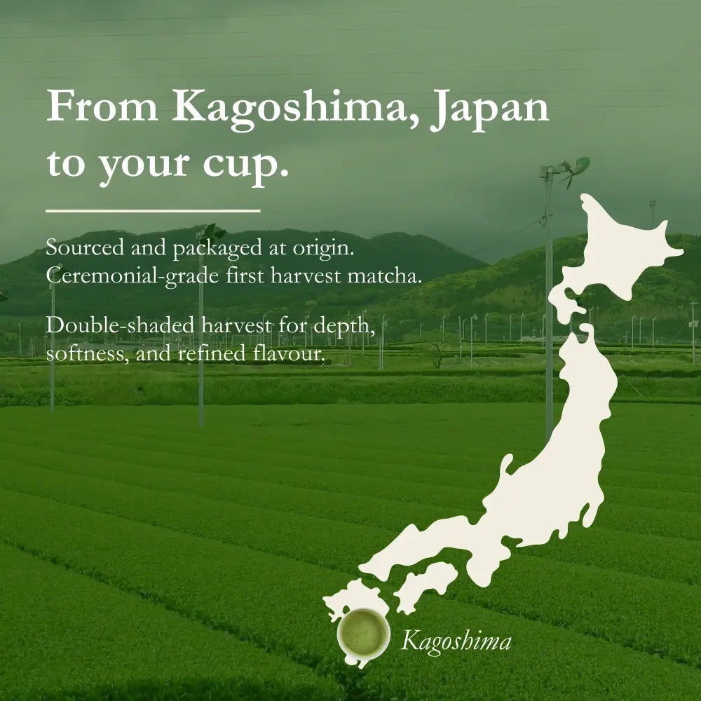 Kagoshima Japanese matcha powder India