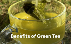 8 Green Tea Benefits For Your Body