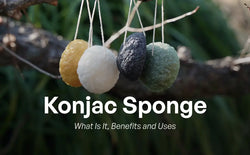 What Is a Konjac Facial Sponge? Benefits & How to Use
