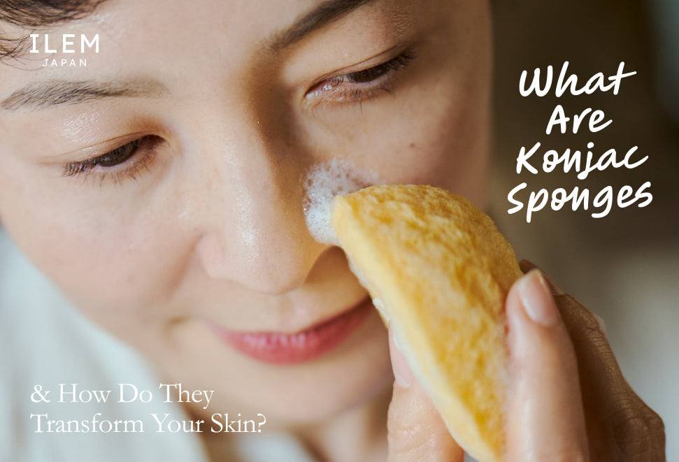 Konjac Sponges by ILEM JAPAN