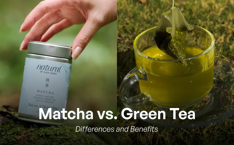 Matcha vs Green Tea