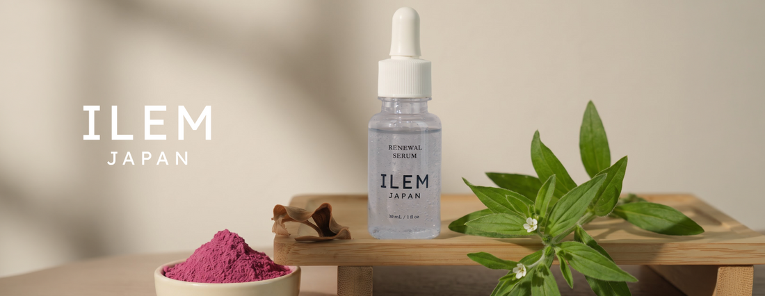 Murasaki root Japanese herb for sensitive and stressed skin from ILEM Japan