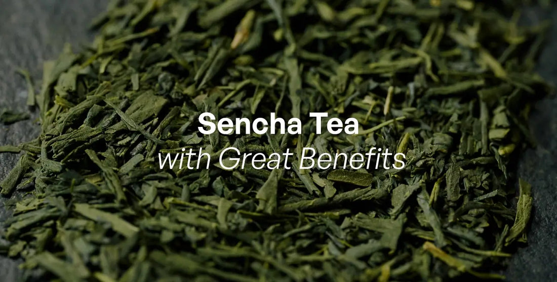 Sencha Tea: A Detailed Guide To The Best Japanese Green Tea