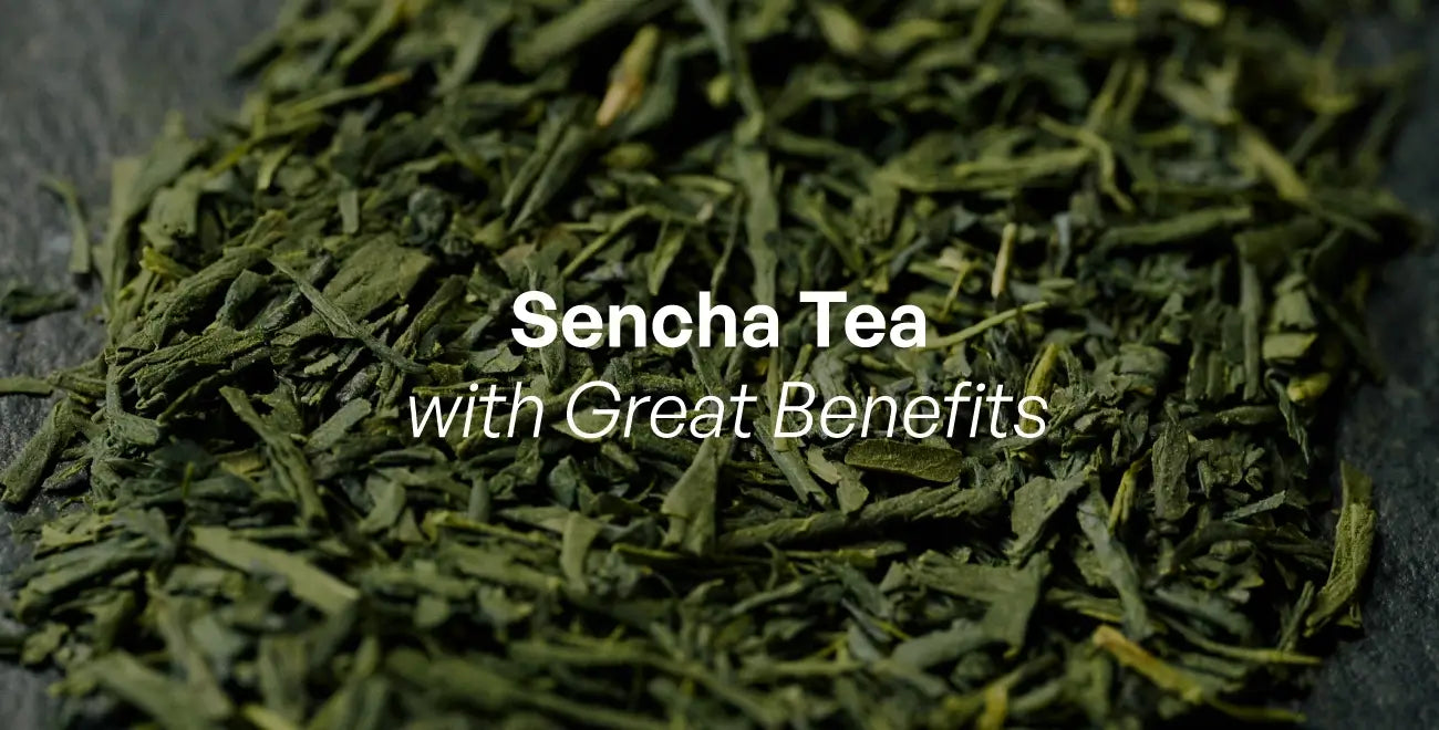 Sencha Green Tea