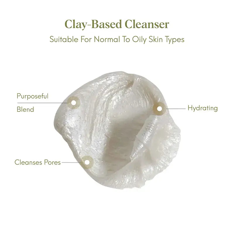 clay face wash cleanser