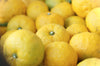 Japanese Yuzu Extract