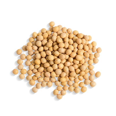 Japanese-Hydrolyzed-Soybean-Extract