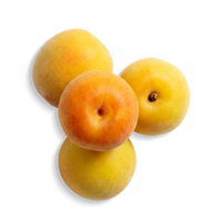 Japanese-Plum-Extract