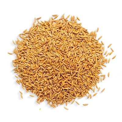 Japanese-Rice-Bran-Extract