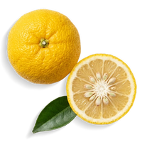 Japanese-Yuzu-Extract