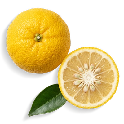 Japanese-Yuzu-Extract