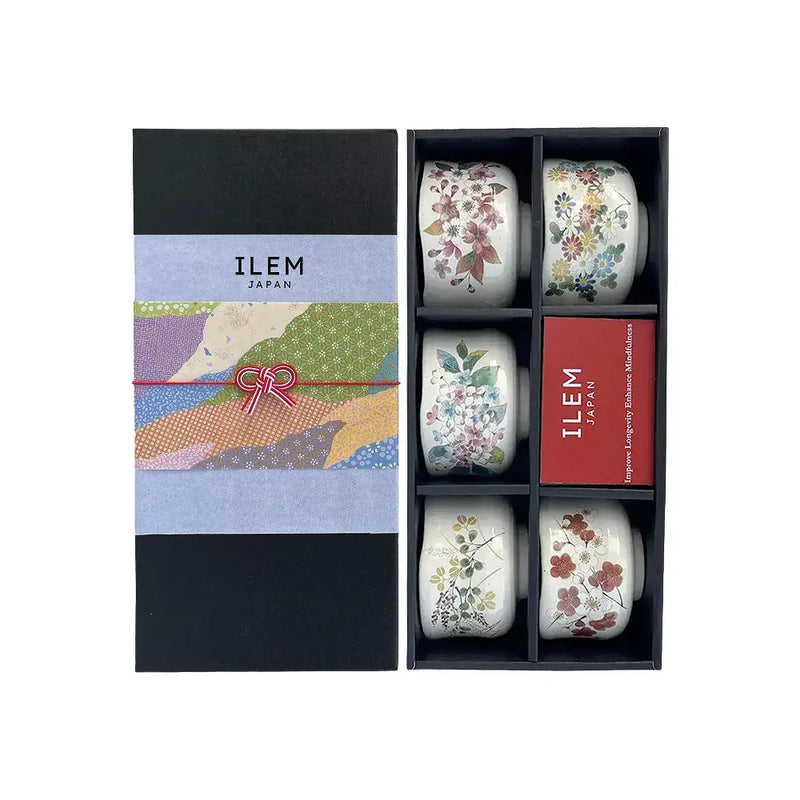 Japanese Matcha Ceramic Bowls Set