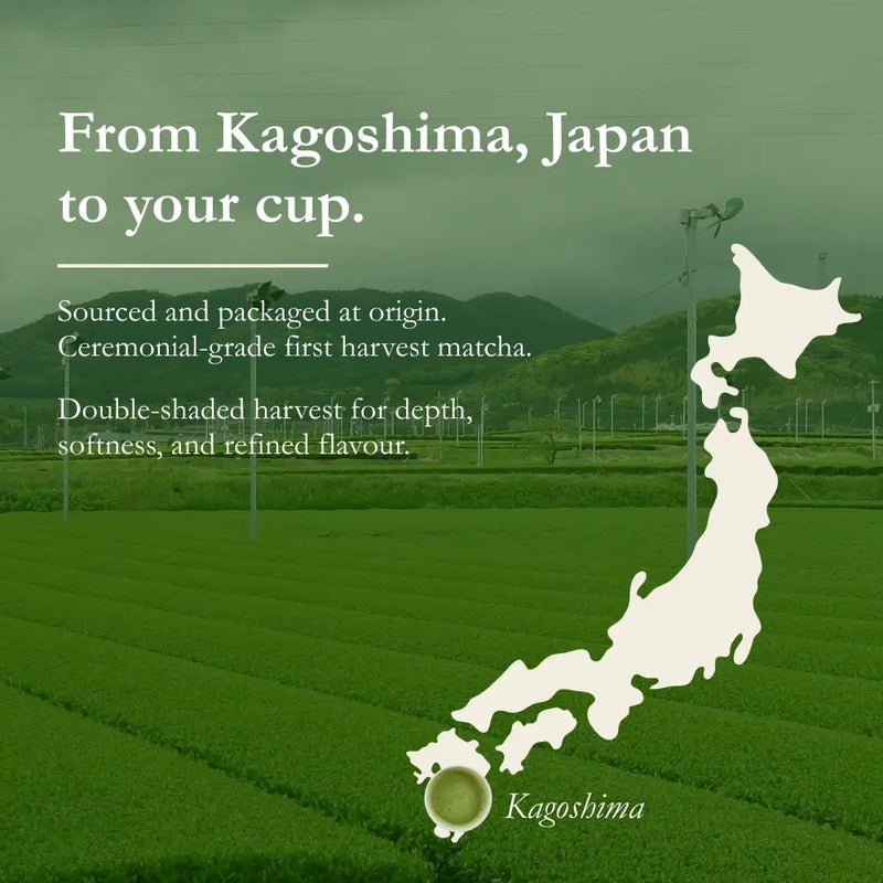 matcha japanese tea from kagoshima