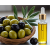 OLIVE FRUIT