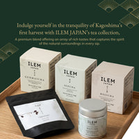 Fresh Japanese green tea with natural antioxidants