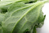 Japanese Ice Plant Juice