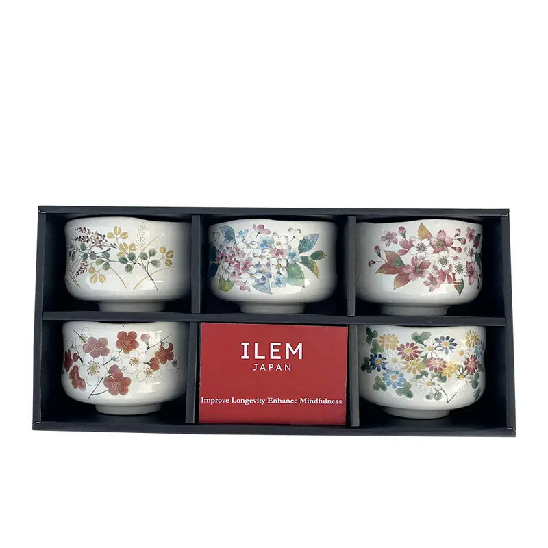 Japanese Matcha Ceramic Bowls Set