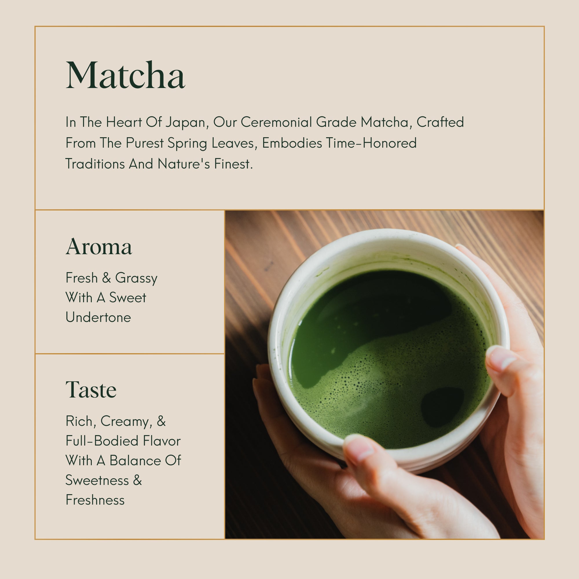 matcha japanese tea