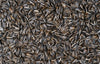 Sun flower Seed Extract